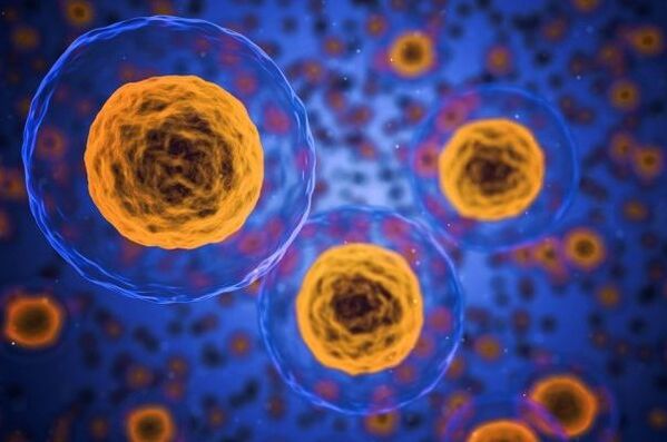 Hogyan zajlik a fogyás folyamata